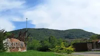Vetrne elektrarne na grebenu nad Rodikom bi pomenile prehud 
poseg v vas in njeno okolico, saj so rodiška   “brda” (z gozdom 
porasel hrib za vasjo) že stoletja “sveta”, izpostavlja svet KS 
Rodik.  