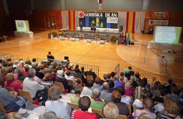 Goriška dlan je že uveljavljen dobrodelni dogodek karitas. Lani so 
zbrali 7700 evrov.  