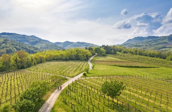 Med najbolj trajnostmi destinacijami sveta je tudi Vipavska 
dolina.