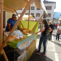 Tolmin je zadi&scaron;al po friki