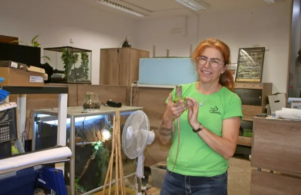 Nika Leben je poldrugo leto skrbela za vivarij sredi Kopra, zdaj pa 
ga zapira, ker ne zmore plačevati stroškov najema.