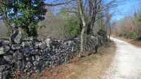Živi muzej Krasa, ki povezuje Bazovico in Sežano, je nastal v sklopu 
čezmejnega evropskega projekta Kras-Carso. GeoKarst pomeni 
nadaljevanje čezmejnega povezovanja in korak naprej k ustanovitvi geoparka, so prepričani na sežanski občini. 