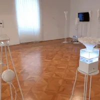 Vrtove bodočnosti napaja skrb za na&scaron; skupni jutri