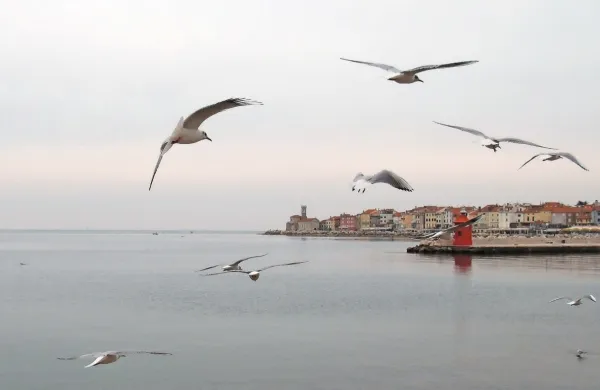Deloma jasno, temperature do 23 stopinj Celzija