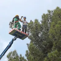 V Kopru so začeli name&scaron;čati novoletne okraske