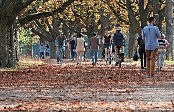 Kdor v srednjih letih lahko hitro hodi, je biološko mlajši in bolj 
inteligenten kot tisti, ki hodijo počasi, so ugotovili znanstveniki. 