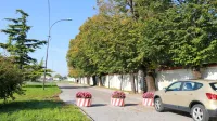 Nekatere Ajdovce motijo cvetlična korita, ki avtomobilom zapirajo 
dostop do vhodov na pokopališče. 
