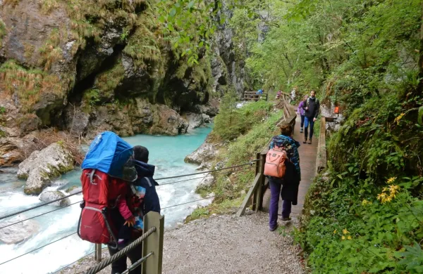 Kljub vi&scaron;jim cenam rekordni obisk korit