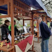 Poleg odprtih kraških kleti bo  pestro tudi v Štanjelu, kjer bodo v 
soboto blagoslovili mošt in podelili nagrade vinarjem. 