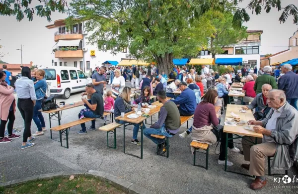 Petnajst let Praznika vina in oljk