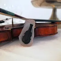 Rojstna hi&scaron;a violinista, ki ga pozna ves svet