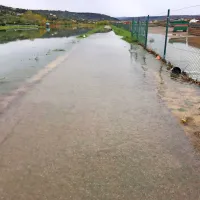 Sečoveljske soline