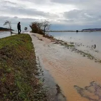 Sečoveljske soline