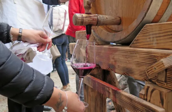 Kljub muhastemu in zahtevnemu letu so bili na Martinovo  kraški vinogradniki  zadovoljni s prvimi 
kozarci vina.