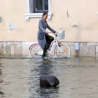 Piran danes okrog 9. ure