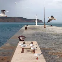 Izola