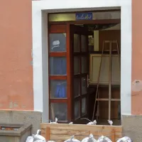 Izola