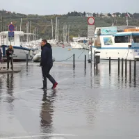 Izola