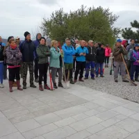 Cerju so vrnili drevesa
