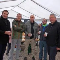 Cerju so vrnili drevesa