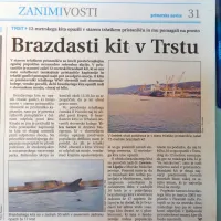 V staro tržaško pristanišče je zašel dvanajstmetrski brazdasti kit, ki so mu uslužbenci tamkajšnje pristaniške kapitanije in 
gasilci pomagali najti pot na odprto morje.