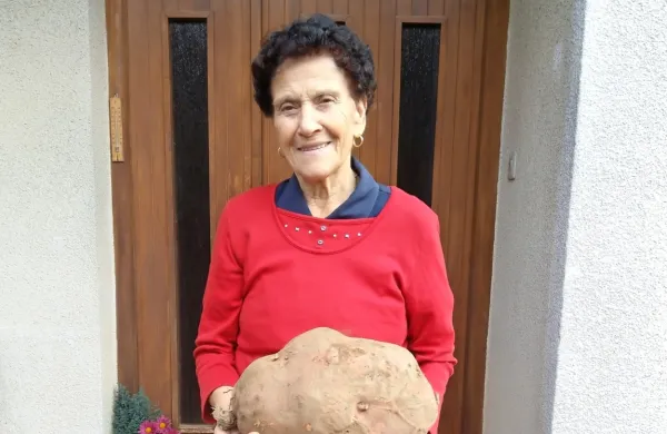 Anica Štokelj s 7.3 kilogramov težkim ameriškim krompirjem
