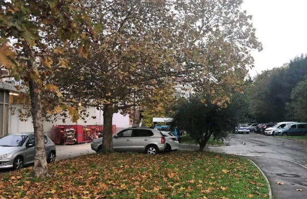 Po pretepu pri skladišču ankaranske trgovine in v bližini tamkajšnje lekarne  so enega Ljubljančana odpeljali v bolnišnico, za 
drugim pa so se izgubile vse sledi. 
