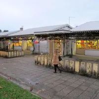 40 let gradijo lep&scaron;i svet