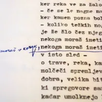 Nekoga mora&scaron; imeti rad na Ta veseli dan kulture