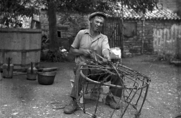Franc Furlanič - Šemulaj med pletenjem košare iz beke in kostanja 
v Dekanih leta 1949.

