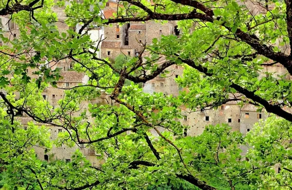 Južnoitalijanska dežela priseljencem ponuja po 700 evrov mesečno za obdobje treh let, če se bodo priselili v Molize. Poleg tega 
bodo morali odpreti obrt ali obnoviti stanovanjsko hišo. 