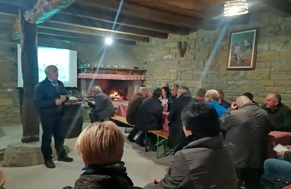 Oživljajo istrsko govedo