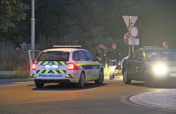 Policisti so v začetku avgusta na Bistriškem  ustavili tudi dve vozili 
z litovsko registracijo, v enem je bilo pet prebežnikov (fotografija 
je simbolična). 