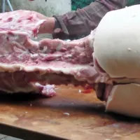 Koline so del slovenske kulture pozimi; če bo prišlo do izbruha afriške prašičje kuge, bodo nekatere prakse tudi prepovedane. 