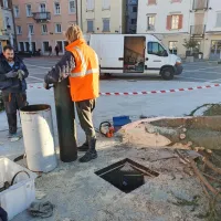 &Scaron;ijon podrl smreko, zdaj že znova stoji