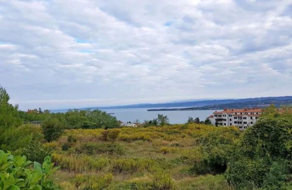 Ante Guberac in Aco Kabanica bosta prihodnji torek že vedela, kdo 
od njiju je ponudil več za parcelo s pogledom na morje na 
Markovcu.