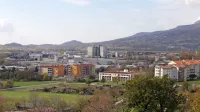 Župan pričakuje, da bo javna dražba za prodajo 1,6 hektara 
stavbnih zemljišč na Ribniku za občino uspešna. 