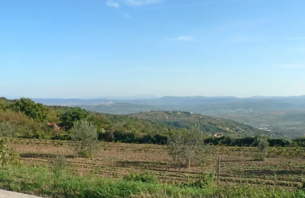 Neprodane nepremičnine bo Mestna občina Koper najverjetneje 
uvrstila na naslednjo javno dražbo nepremičnin, so zapisali v 
sporočilu za javnost.