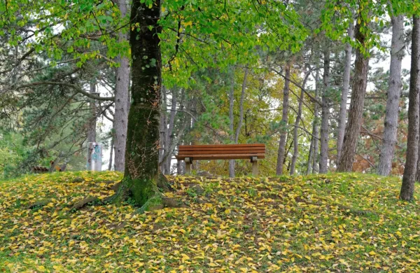 Letos beležimo  drugo najtoplejše obdobje med januarjem in 
decembrom v 140 letih, le malo za enakim obdobjem leta 2016.