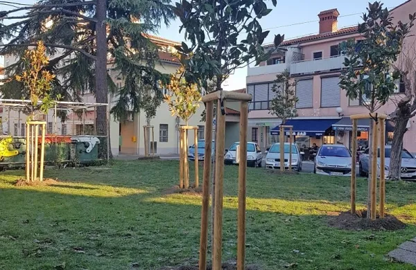 Posadili 57 dreves in grmovnic