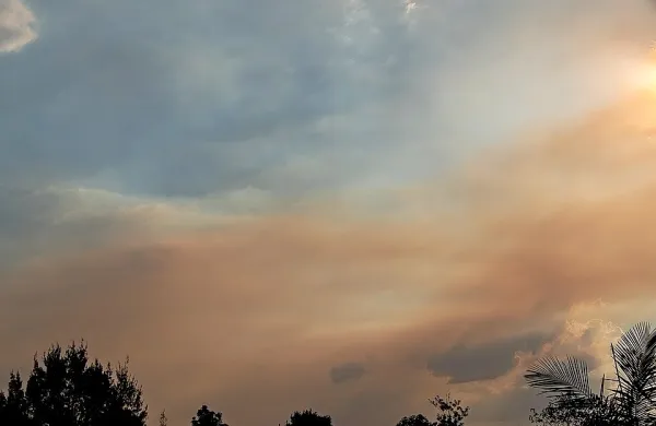 Fotografija je simbolična.