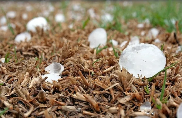 Avstralijo ob požarih prizadelo neurje s točo