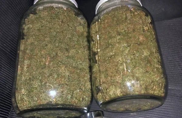 V treh steklenih kozarcih je bilo 250 gramov marihuane.