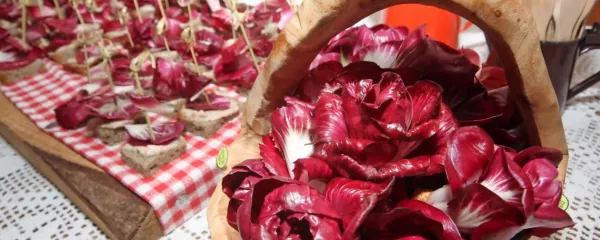 Dnevi za gori&scaron;ki radič