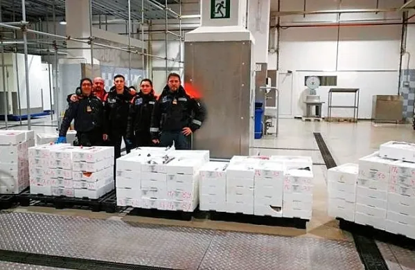 Tržaška obalna straža je v nedeljo popoldne pri nekdanjem 
italijansko-slovenskem mejnem prehodu Rabujez-Škofije zasegla 
tono rib.