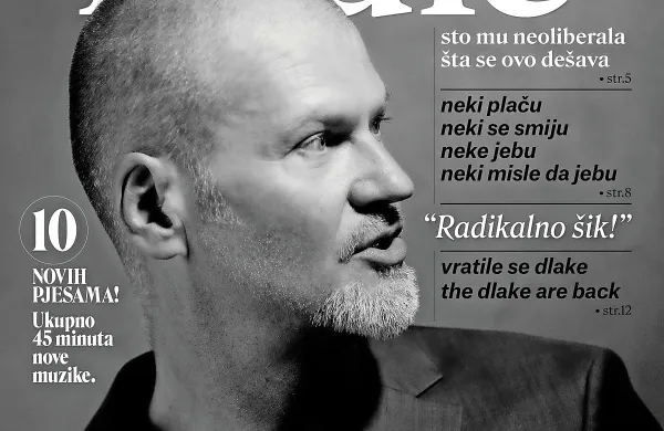  Naslovnica plošče nove plošče Damirja Avdića Radikalno šik 