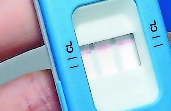 Voznika sta pozitivno opravila hitri test za droge, nista pa hotela na 
strokovni pregled.