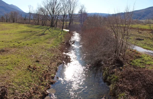 Po načrtu Hidrotehnika bi iz rečnega korita Močilnika očistili 
zarast, naplavine in plavje.