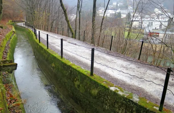 V  kanalu Rake, z mirno, nizko vodo na pragu Idrije, se je v nedeljo utopil volk, za katerega se še ne ve, ali je bil samaotar ali član  tropa.