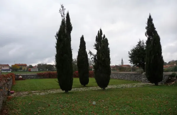 Na pokopališču v Divači načrtujejo kostnico, kamor bi svojci lahko pokopali težko najdene in povsod 
razkropljene  posmrtne ostanke prednikov, ki so bili žrtve vojn.